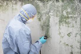 Reliable Montrose, PA Mold Prevention & Removal  Solutions